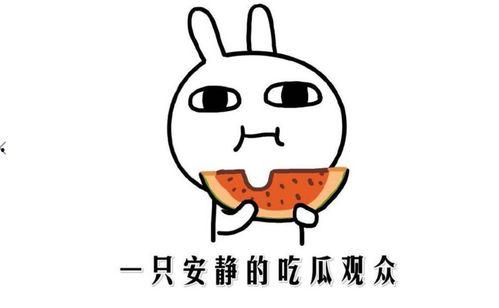 娱乐吃瓜酱相处方式,轻松相处的快乐秘籍