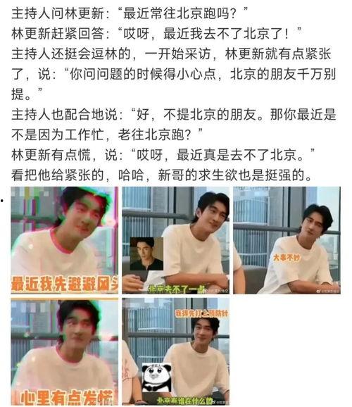 娱乐圈渣男林更新,娱乐圈渣男风波背后的真相与反思