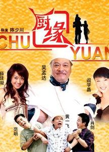 厨缘演员表,明星云集的美食传奇，揭秘幕后精彩故事